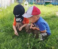 Знакомство с природой Знакомство с природой.
