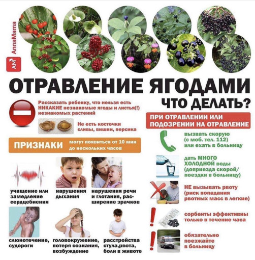Памятка для родителей Памятка для родителей.