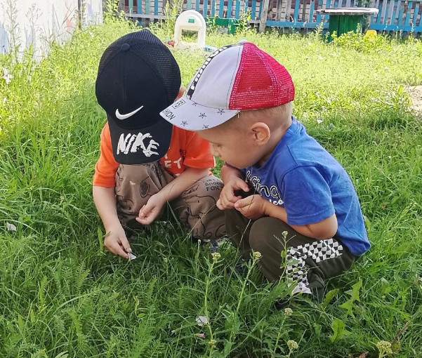 Знакомство с природой Знакомство с природой.